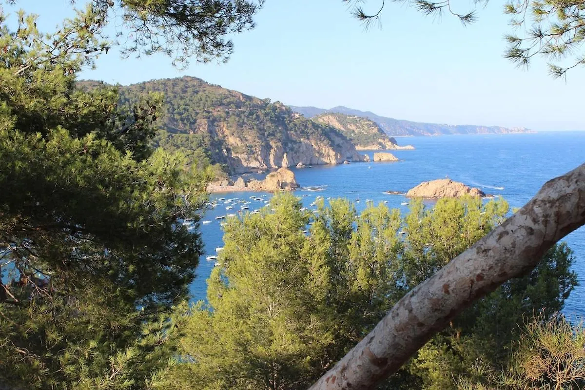 Villa 10 People, 150 M From The Sea, Pool And Garden Platja d'Aro